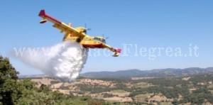 Incendi, Protezione Civile Regione: in due mesi 399 incendi boschivi in Campania