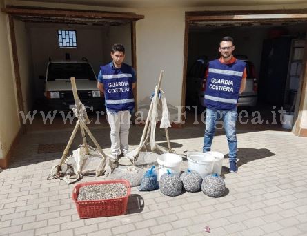 LITORALE DOMIZIO/ Pesca illegale di telline, sequestrati 4 quintali