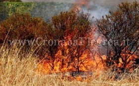 MONTE DI PROCIDA/ Giardini sporchi, in arrivo multe salate per i proprietari