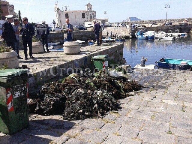 POZZUOLI/ Bonifica alla Darsena: recuperati quintali di rifiuti