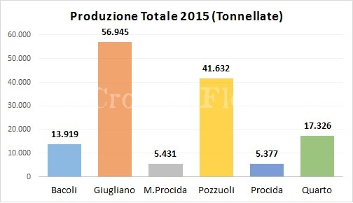 Raccolta differenziata nei Campi Flegrei: “vince” Monte di Procida