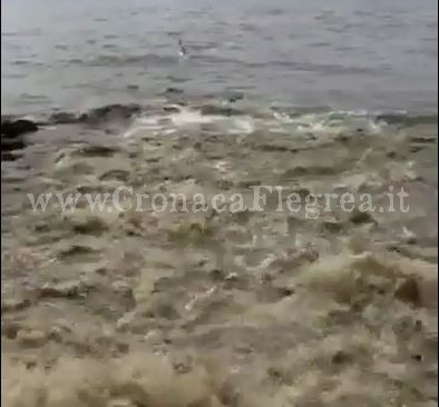 POZZUOLI/ Fogna a cielo aperto finisce nel mare di Via Napoli – Il VIDEO della vergogna