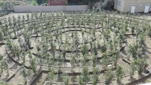 giardini dedalo