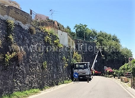 MONTE DI PROCIDA/ Alberi pericolanti e sterpaglie: messa in sicurezza via Marconi