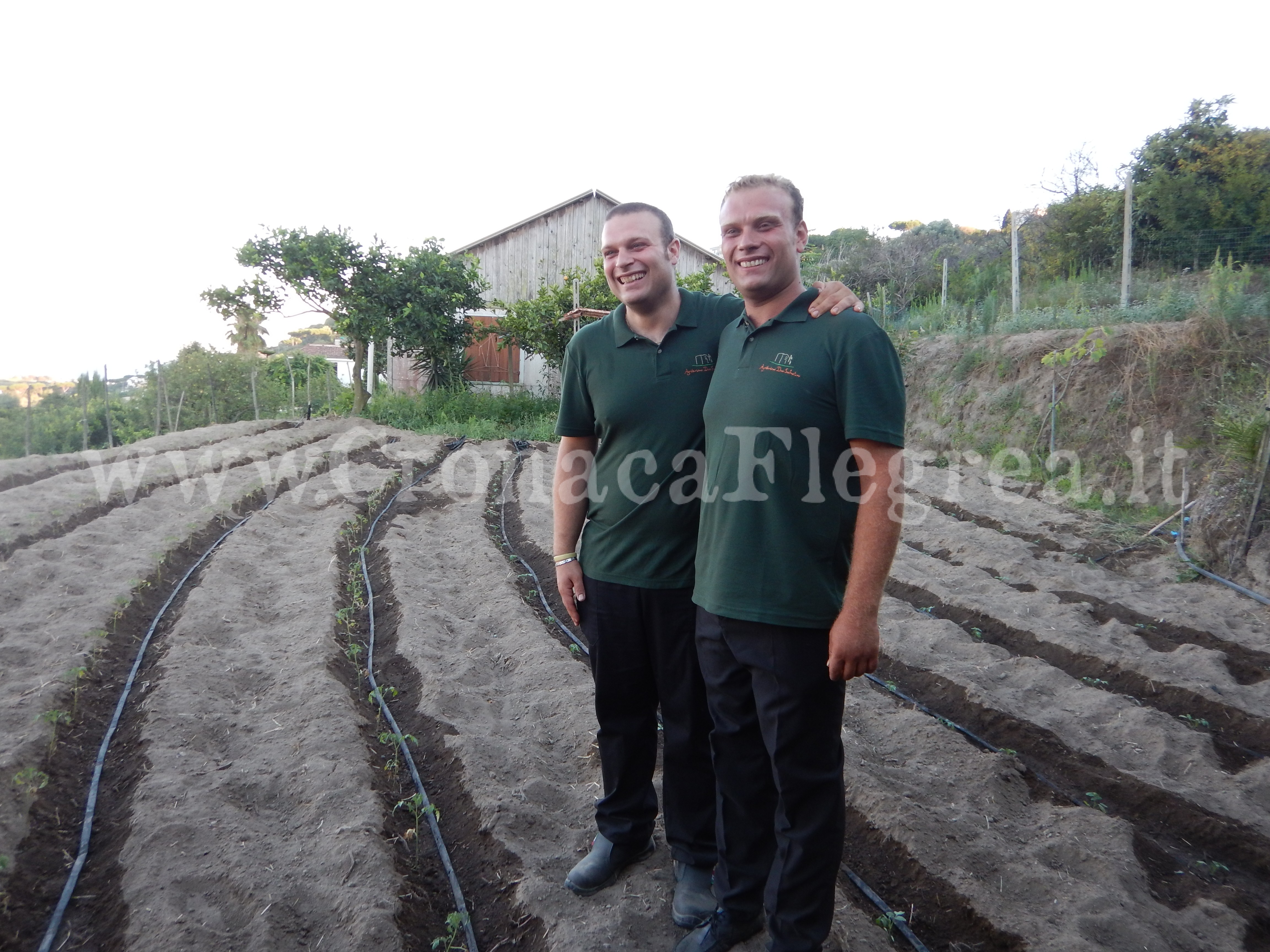 MONTE DI PROCIDA/ A Cappella la prima “Azienda Agricola a Km Zero Flegreo”