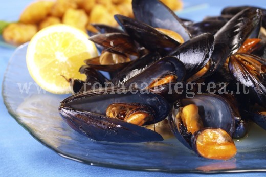 cozze 2