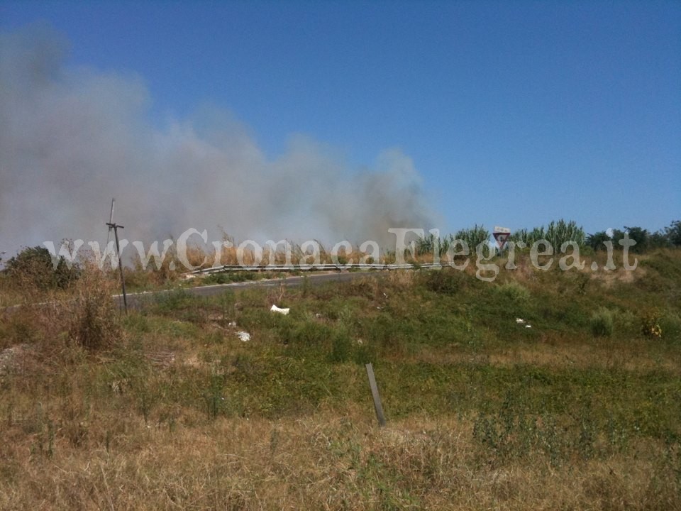 POZZUOLI/ Ancora incendi, fiamme lungo la Variante Anas – LE FOTO