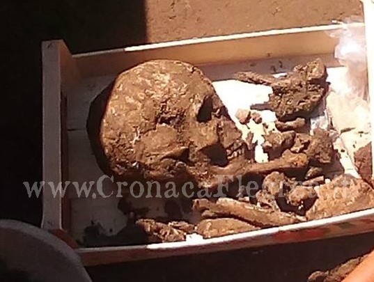 Spettacolare ritrovamento: dagli scavi affiorano un teschio e ossa umane – LE FOTO