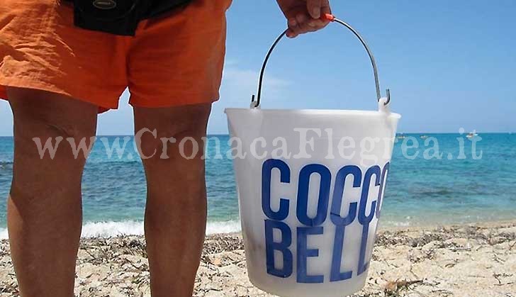 POZZUOLI/ Venditori di cocco accoltellati dai concorrenti, inizia il processo