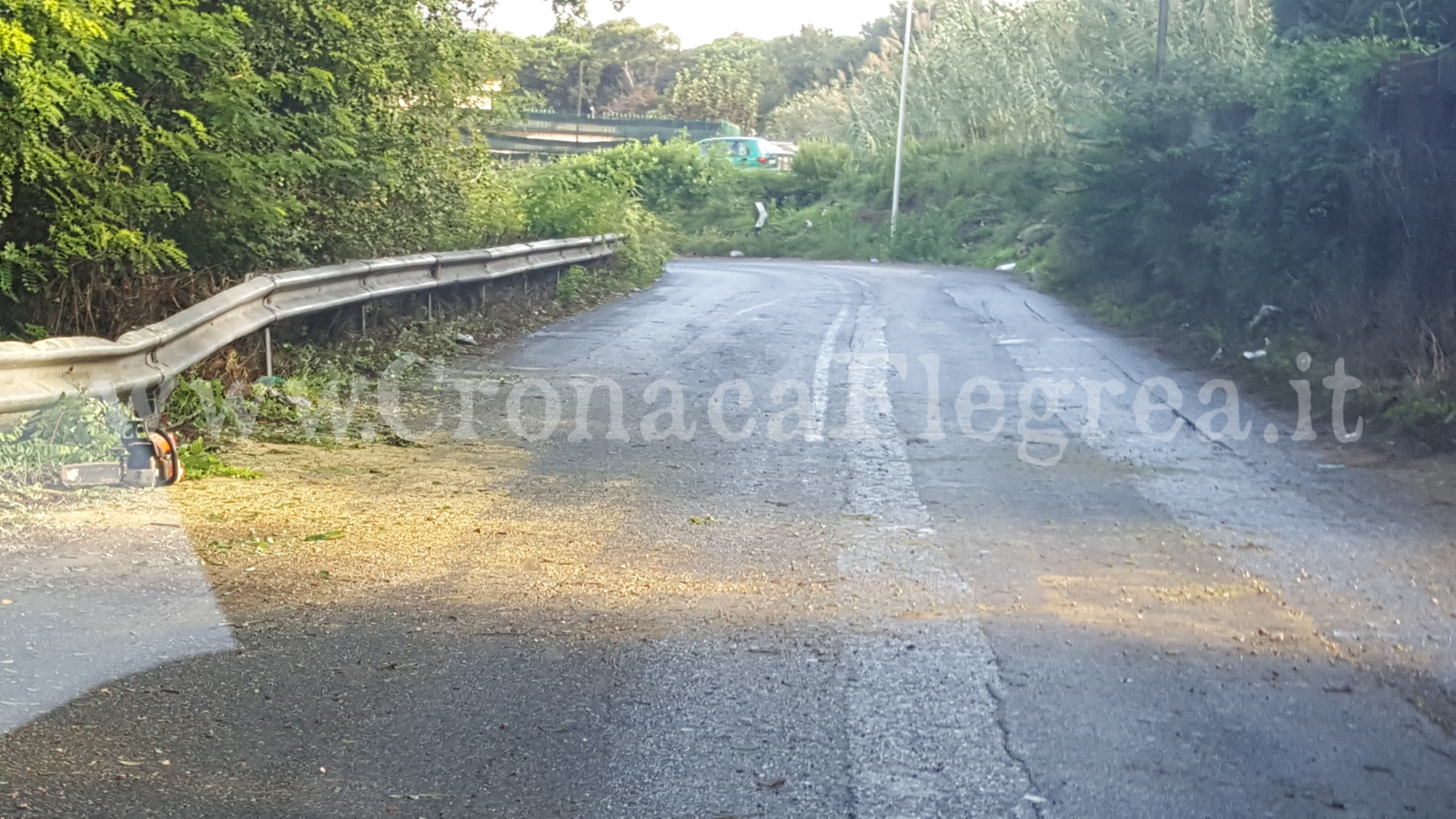 POZZUOLI/ Cade un albero, traffico in tilt in via Cuma Licola