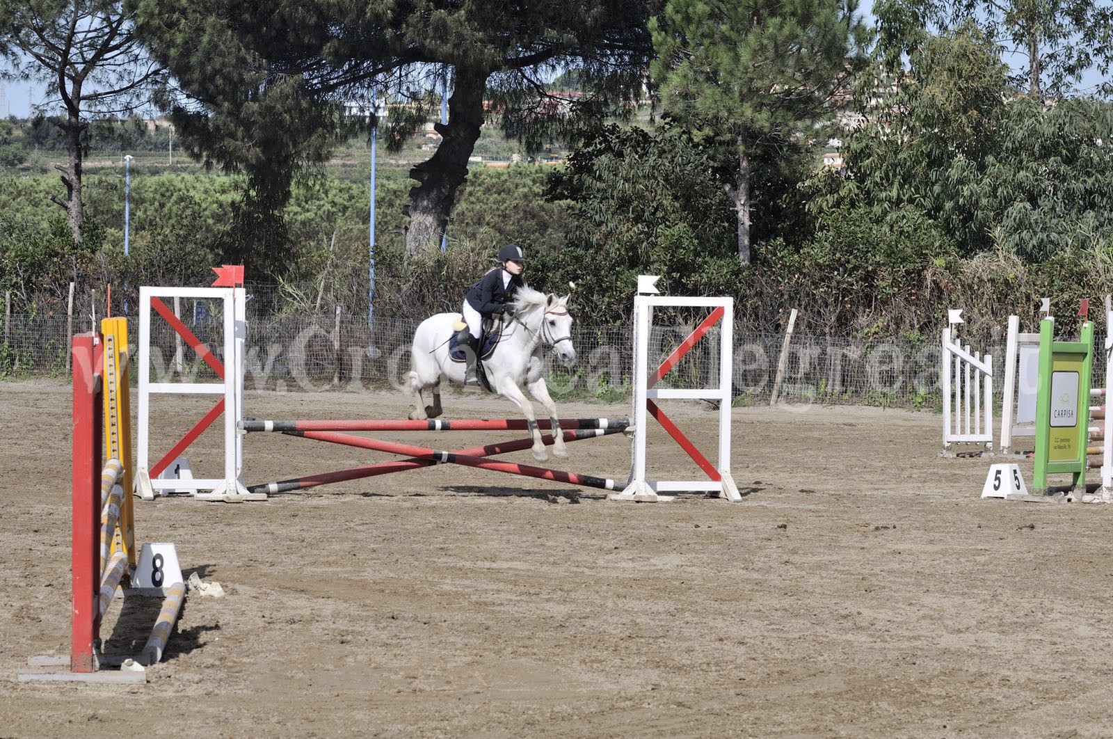 POZZUOLI/ Successo per l’«Open day» al Centro Ippico Montenuovo