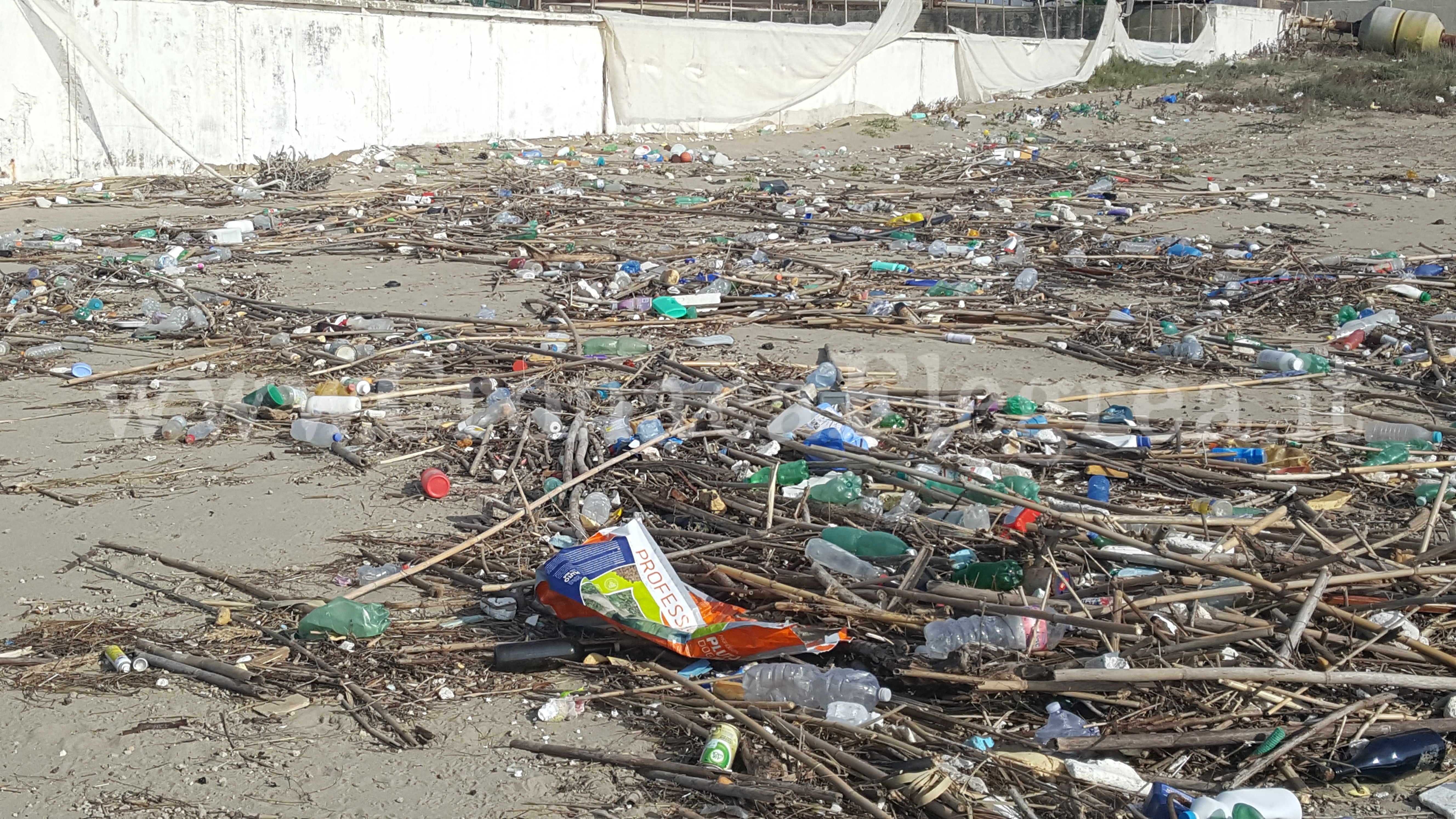 POZZUOLI/ L’alveo torna a vomitare rifiuti sulla spiaggia di Licola – LE FOTO