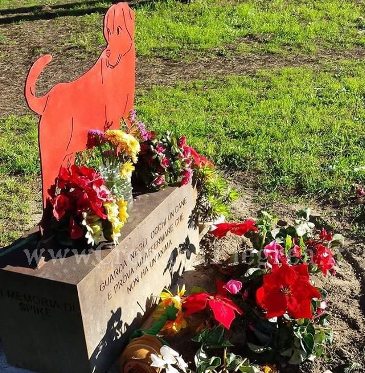 POZZUOLI/ Atti vandalici alla statua di Spike, il cane massacrato al Rione Toiano