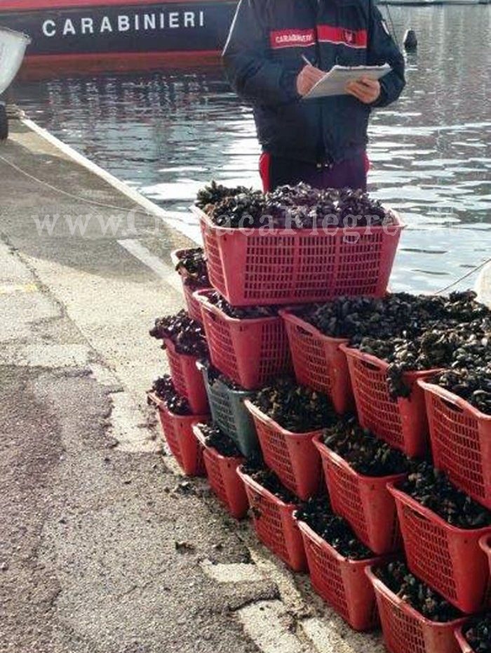 Blitz contro i venditori abusivi di frutti di mare: denunciato un 51enne di Pozzuoli