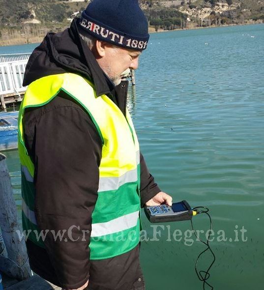 POZZUOLI/ Pesci morti nel Lago d’Averno «Fenomeno naturale dovuto al freddo»