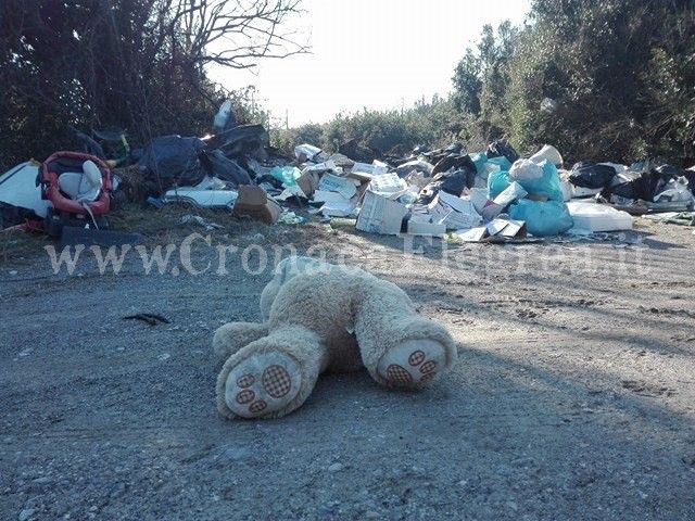 POZZUOLI/ Veleni e camorra: così muore la Foresta di Cuma – IL REPORTAGE