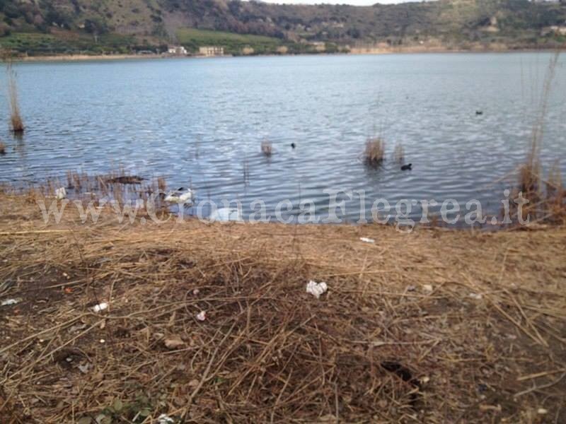 I LETTORI SEGNALANO/ «Che tristezza vedere il Lago d’Averno in queste condizioni»