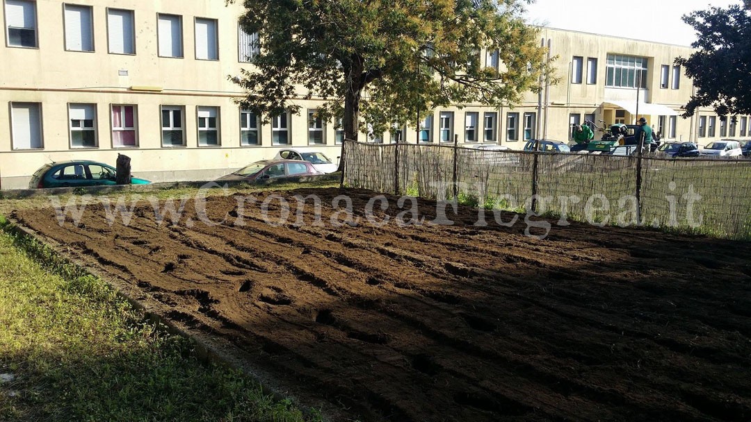 POZZUOLI/ Nelle scuole parte la quarta edizione di “Conosciamo i nostri alberi”