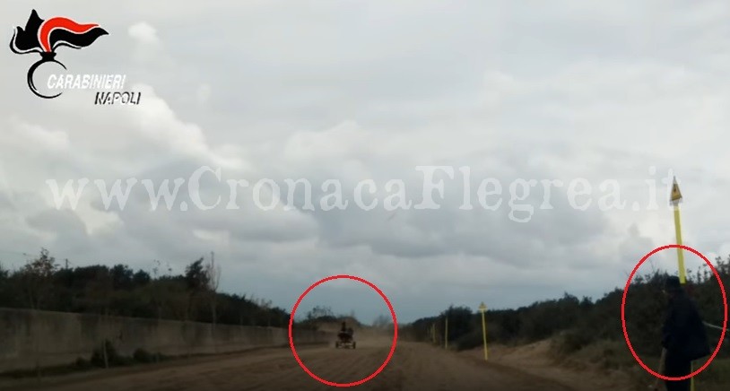 POZZUOLI/ Scempio nella Foresta di Cuma: il video dei cavalli che corrono nella pista clandestina