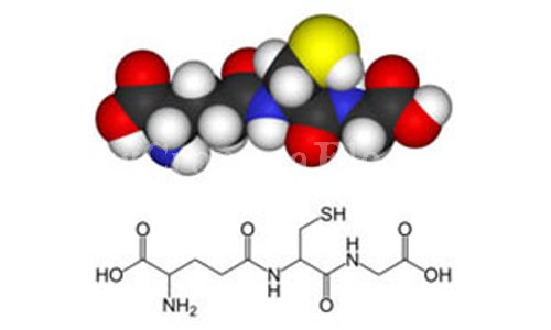 SALUTE/ Glutatione: un antiossidante di grande potenza