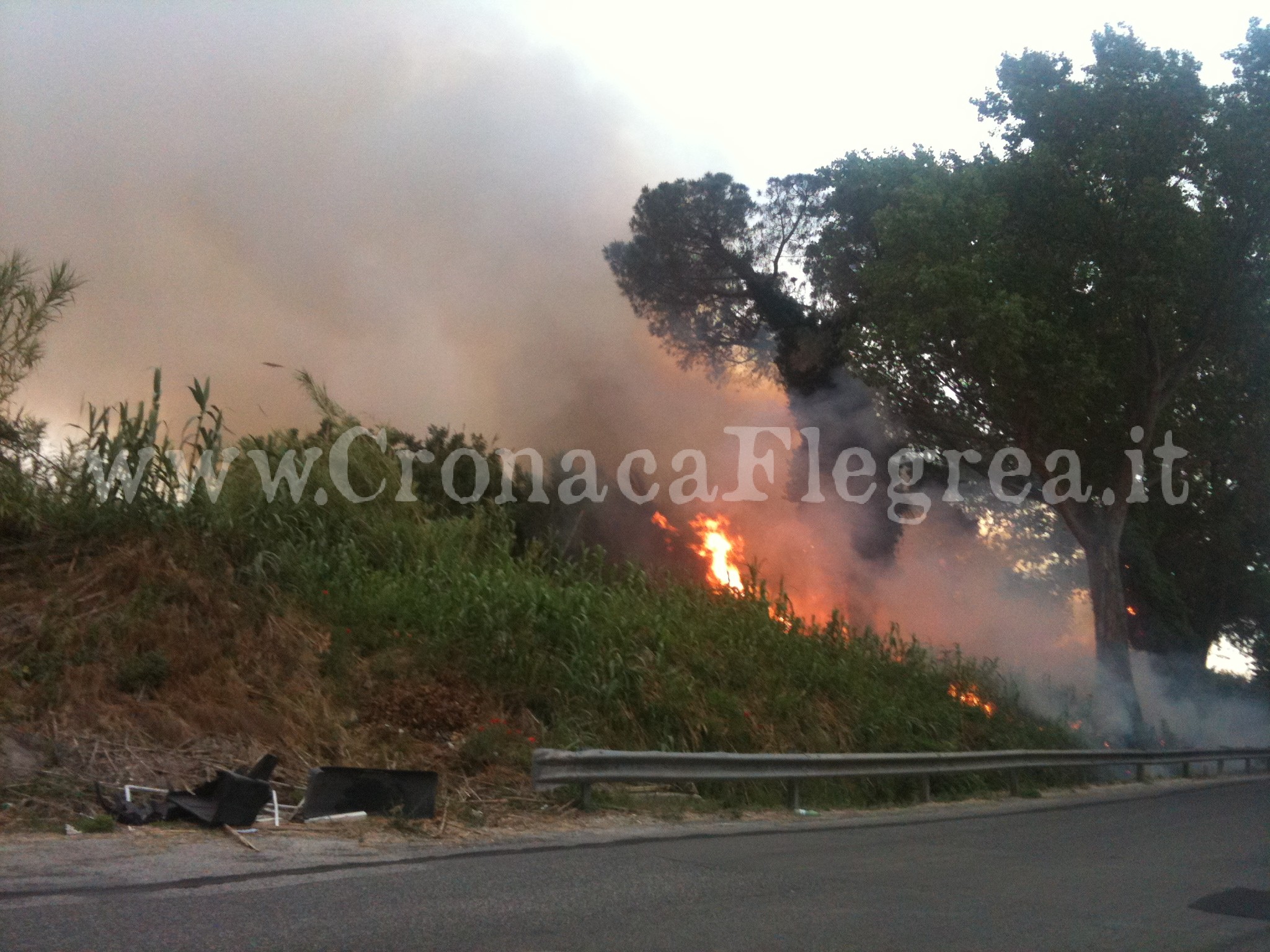 Paura a Licola, incendio spaventa i residenti – LE FOTO