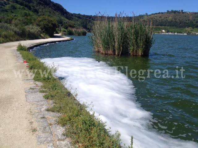 POZZUOLI/ Schiuma bianca nel Lago d’Averno – LE FOTO