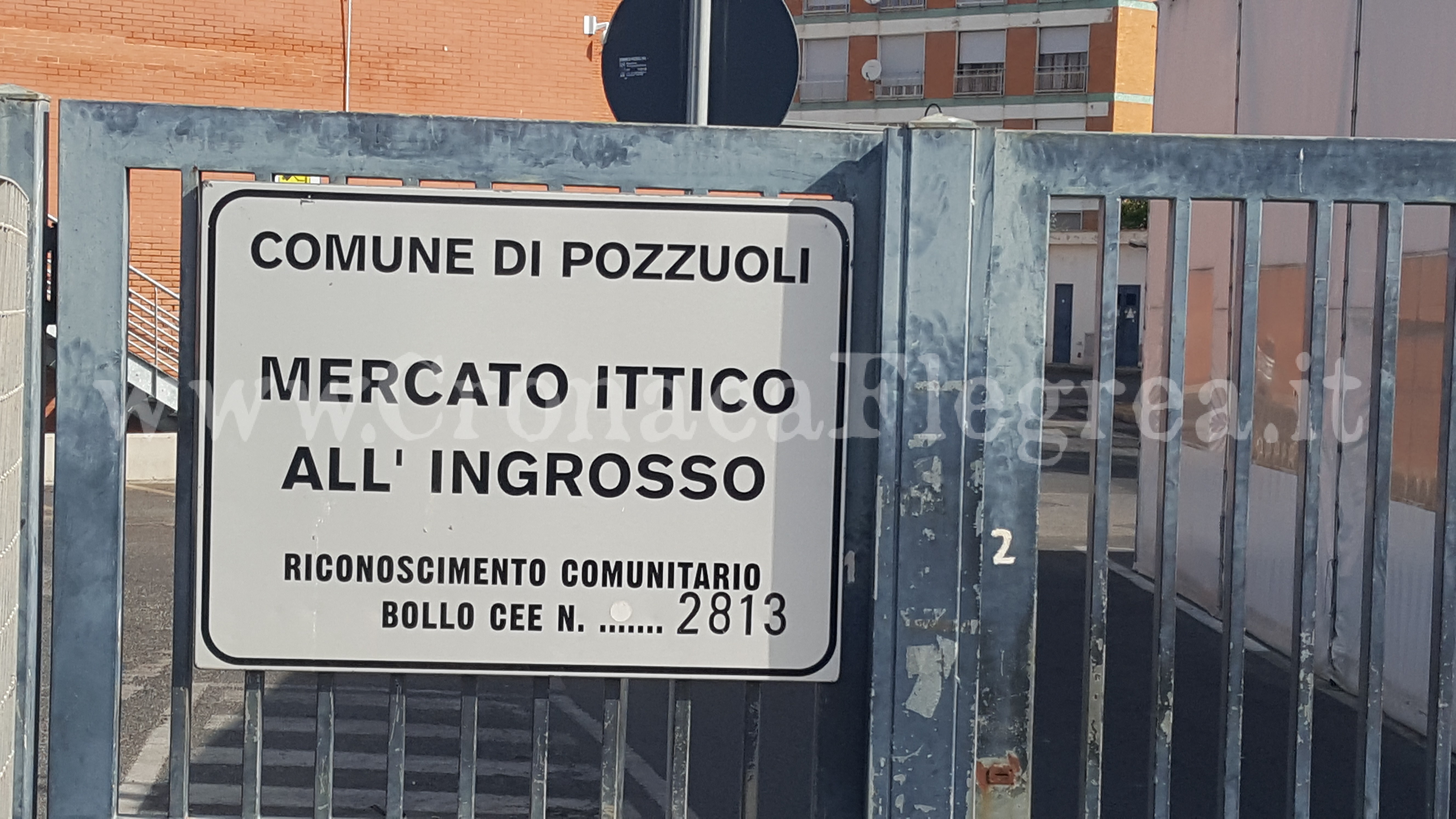 POZZUOLI/ Blitz dei carabinieri al mercato del pesce