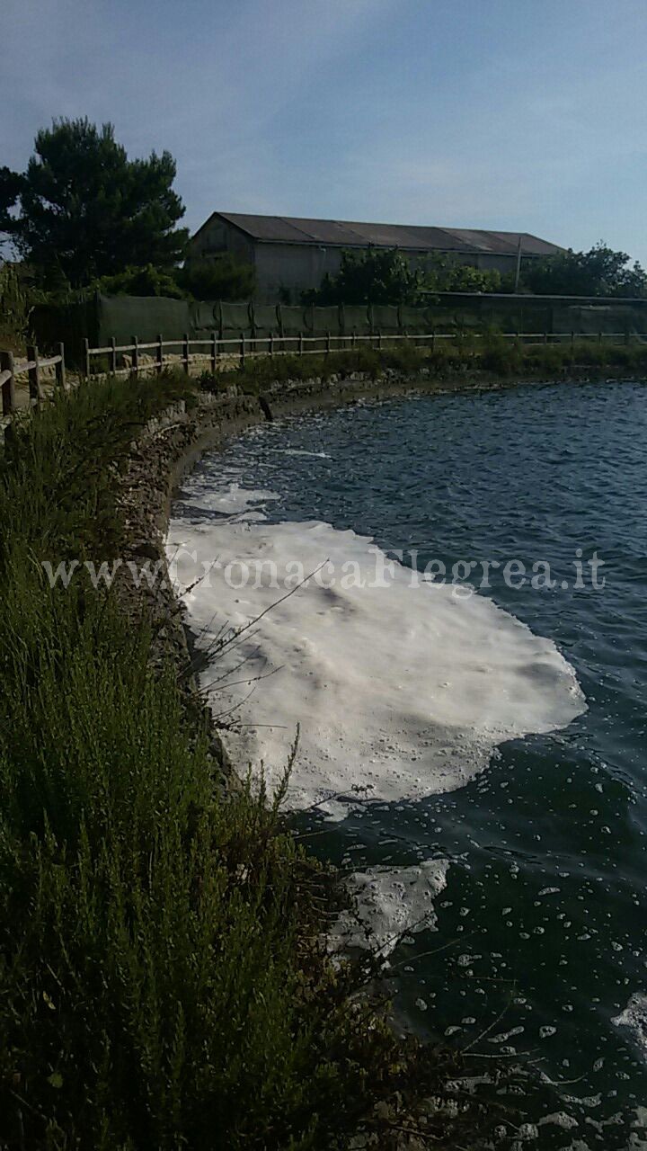 LA FOTO/ Bacoli, ecco come si presenta il Lago Miseno