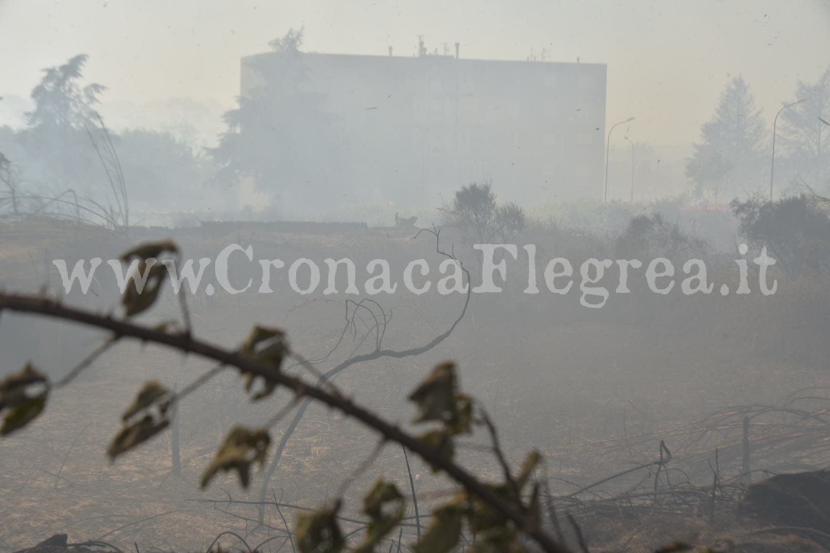 POZZUOLI/ Incendi in città, l’appello del sindaco: «Abbiamo bisogno di aiuto»