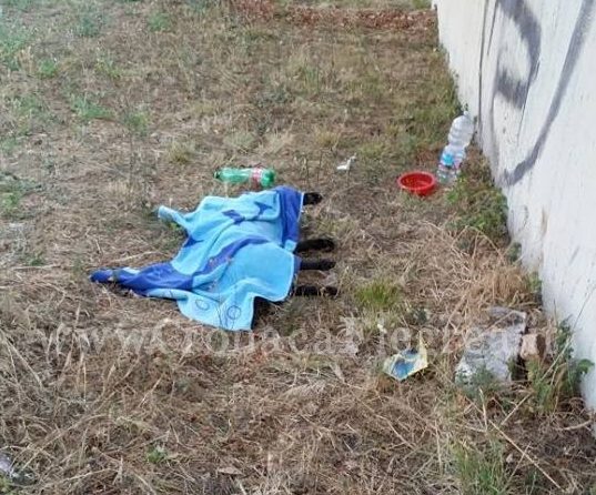 POZZUOLI/ Uccide cagnolino e scappa: pirata ripreso dalle telecamere