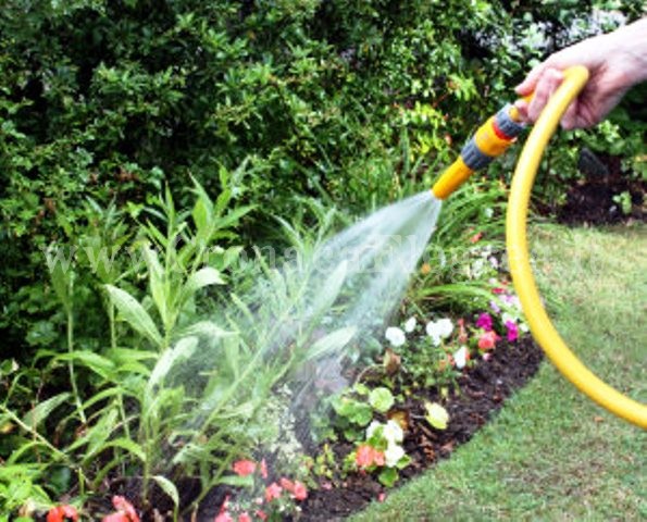 QUARTO/ Il sindaco vieta di innaffiare giardini e lavare auto