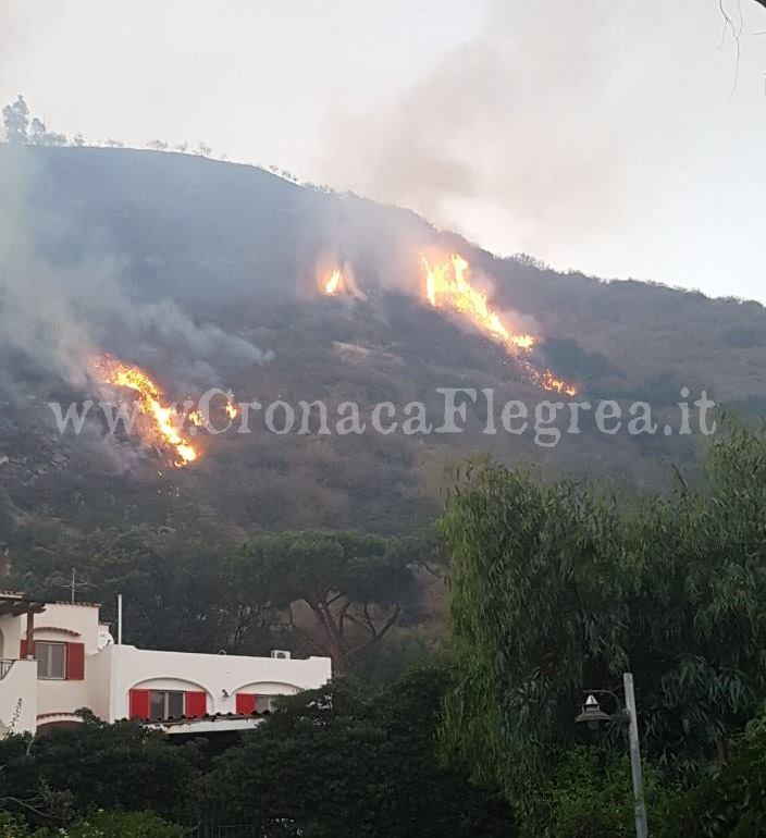 BACOLI/ Incendio a Miseno, chiesto l’encomio per vigili e volontari