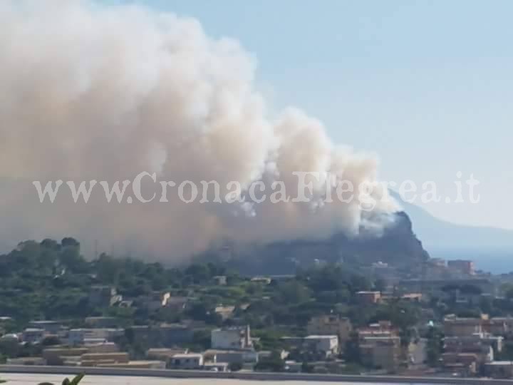 MONTE DI PROCIDA/ Dopo le fiamme e la paura si fa la conta dei danni