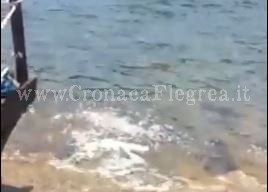 BACOLI/ Schiuma in mare, denunciato il titolare di Villa Mirabilis – I VIDEO DELLO SCARICO