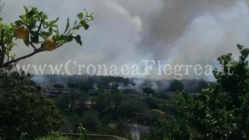 QUARTO/ Incendi, il numero del comando vigili per emergenze e segnalazioni