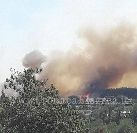 Pozzuoli brucia ancora: incendi in più punti della città, Canadair in azione – LE FOTO