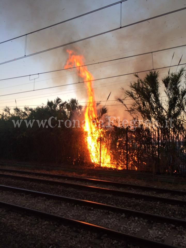 BACOLI/ Incendio tra Fusaro e Torregaveta: interrotta la circolazione dei treni