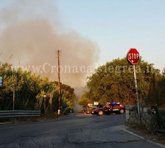 Ancora fuoco e fiamme: bruciano Licola, via Campana e gli Astroni. Chiuse 3 strade – LE FOTO