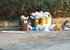 I LETTORI SEGNALANO/ «Al Rione Toiano non raccolgono i rifiuti e i topi ci invadono»