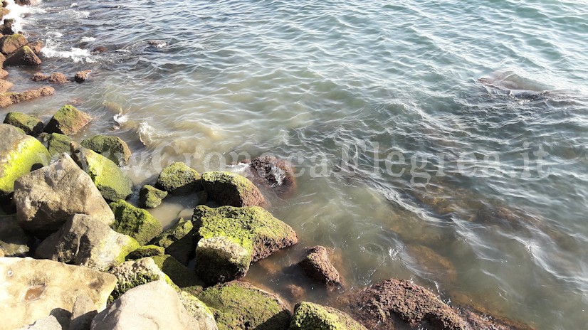 POZZUOLI/ Ancora scarichi in mare dalla fogna del comune – IL VIDEO