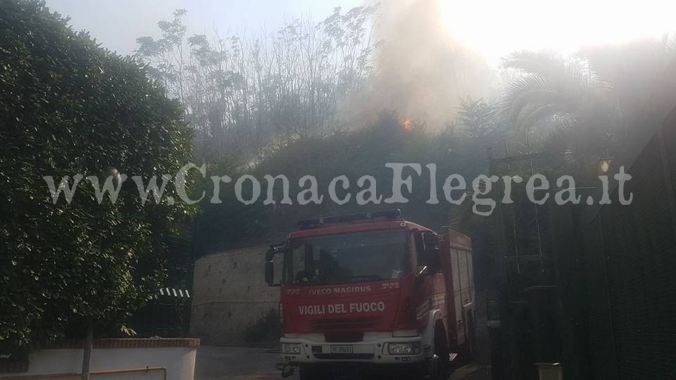 Incendio a Pozzuoli, residenti evacuati. Canadair in azione – LE FOTO