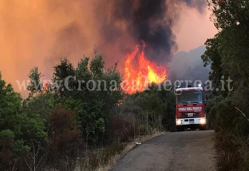 POZZUOLI/ Incendi agli Astroni: i dati della devastazione in un incontro pubblico