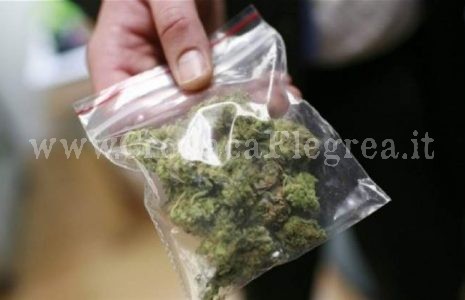 Confezioni di marijuana in auto: arrestato 32enne