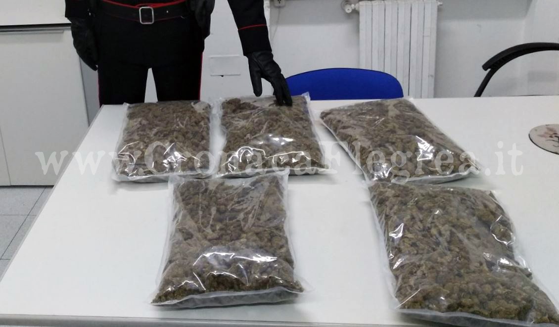 Utilitaria imbottita di marijuana: 2 arresti