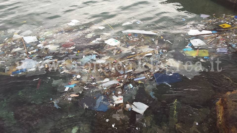 BACOLI/ Rifiuti invadono un tratto del mare