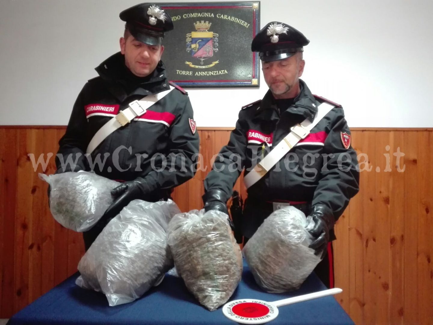 Blitz antidroga: sequestrati chili di cocaina, hashish e marijuana