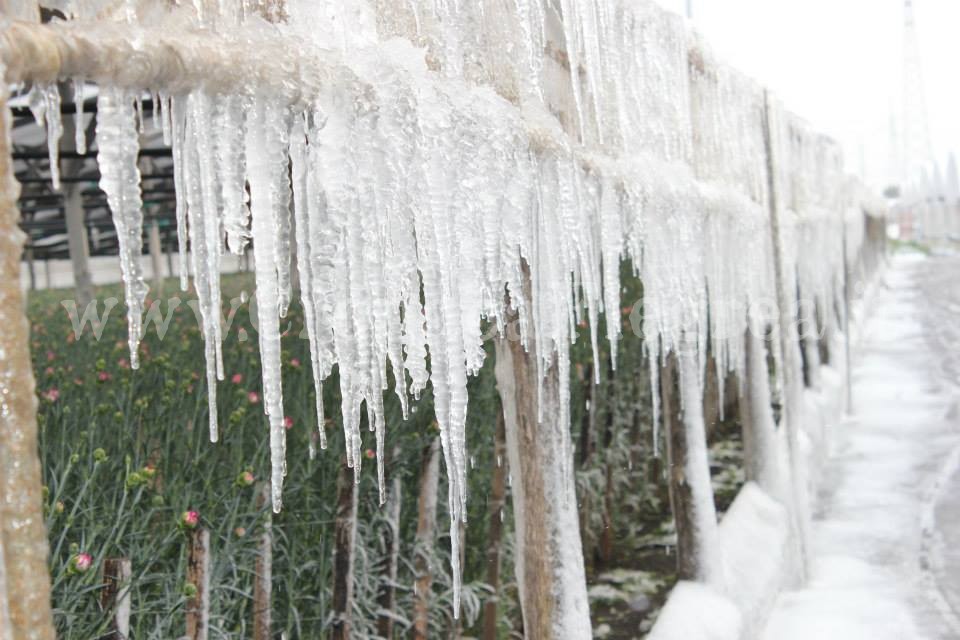 Freddo e neve: ancora chiuse le scuole di Pozzuoli