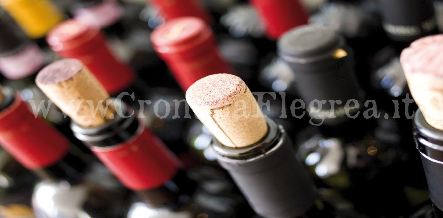 POZZUOLI/ Blitz dei Nas in un’azienda vinicola: sequestrati 13mila litri di vino