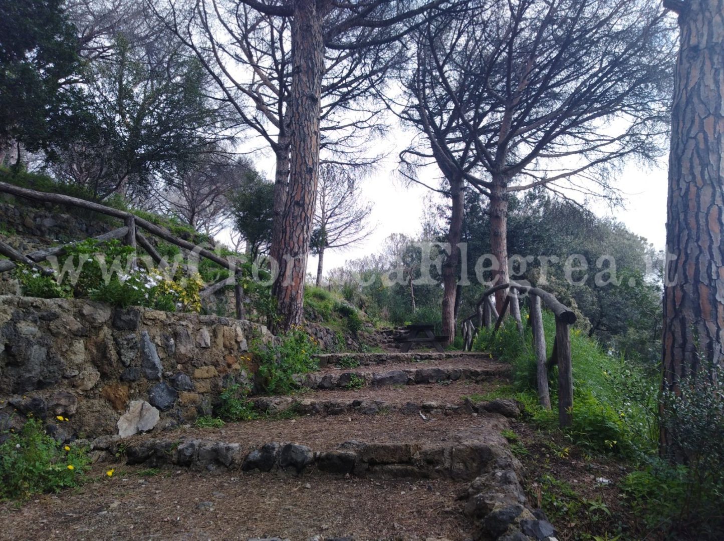 POZZUOLI/ Piccoli studenti ripuliscono l’Oasi di Montenuovo