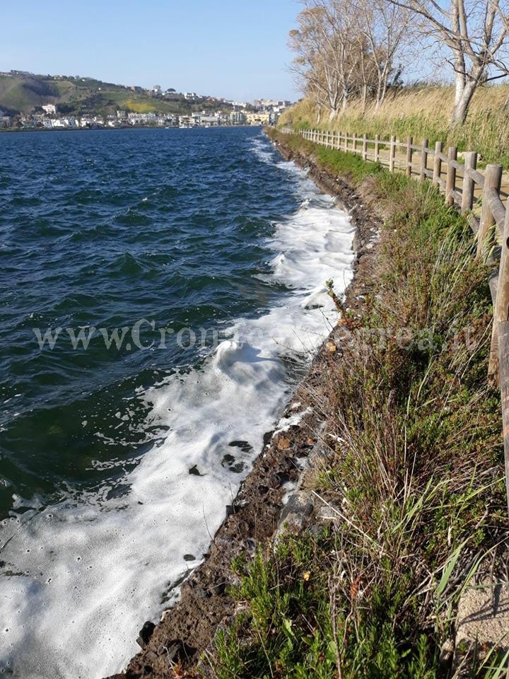 BACOLI/ Schiuma nel Lago Miseno, allarme dei cittadini – LE FOTO